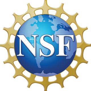 NSF logo featuring large white letters "NSF" over a blue globe with gold gear-like border, similar to those used in WANTO grant Kansas City program materials.